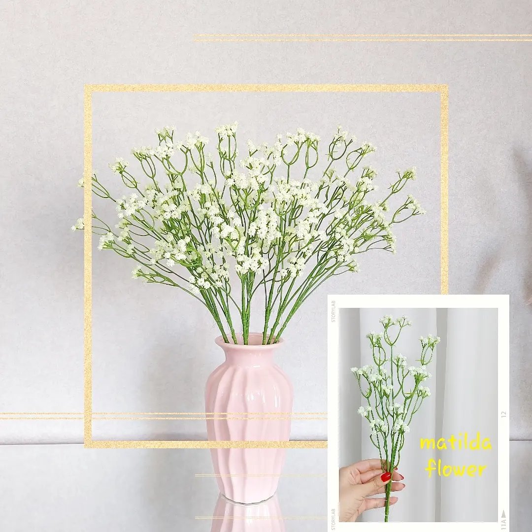 ژیپسوفیلیا لمسی مصنوعی 