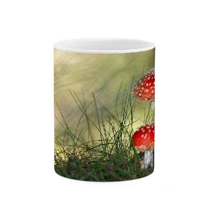 ماگ طرح قارچ مدل mgs11995