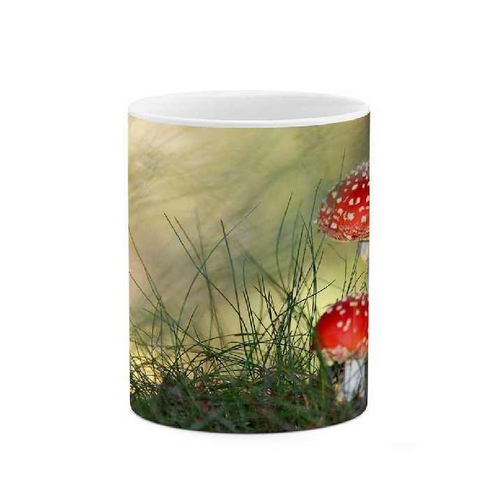 ماگ طرح قارچ مدل mgs11995