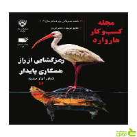 مجله کسب و کار هاروارد رمزگشایی از راز همکاری پایدار نشر نوین - سیب ترش - SibTorsh تخفیف ویژه