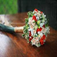خرید و دانلود عکس Flower-Part-2 کد 17697 | پیک فاکس | Pic Fox