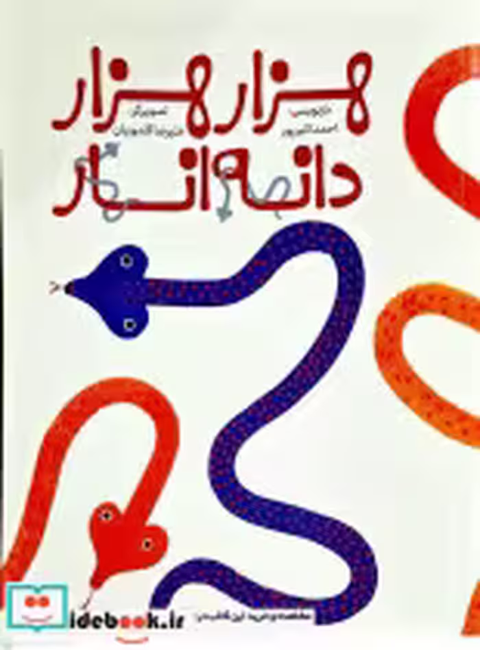قیمت و خرید کتاب هزار هزار دانه انار فاطمی | ایده بوک