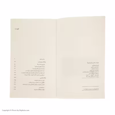 کتاب چرا شد محو از ياد تو نامم اثر افسانه نجم‌آبادي نشر بیدگل