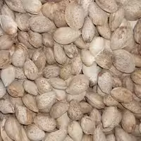 بادام منقا دو پوست (یک کیلو) طهورا