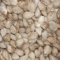 بادام منقا دو پوست (یک کیلو) طهورا