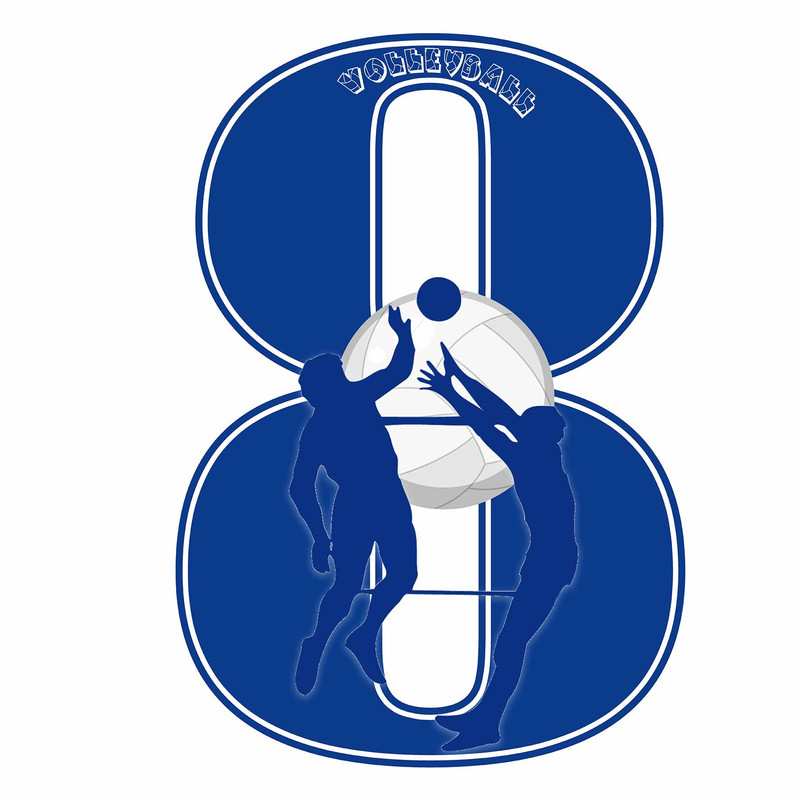 استند رومیزی تولد مدل عدد 8 طرح والیبال کد 1421