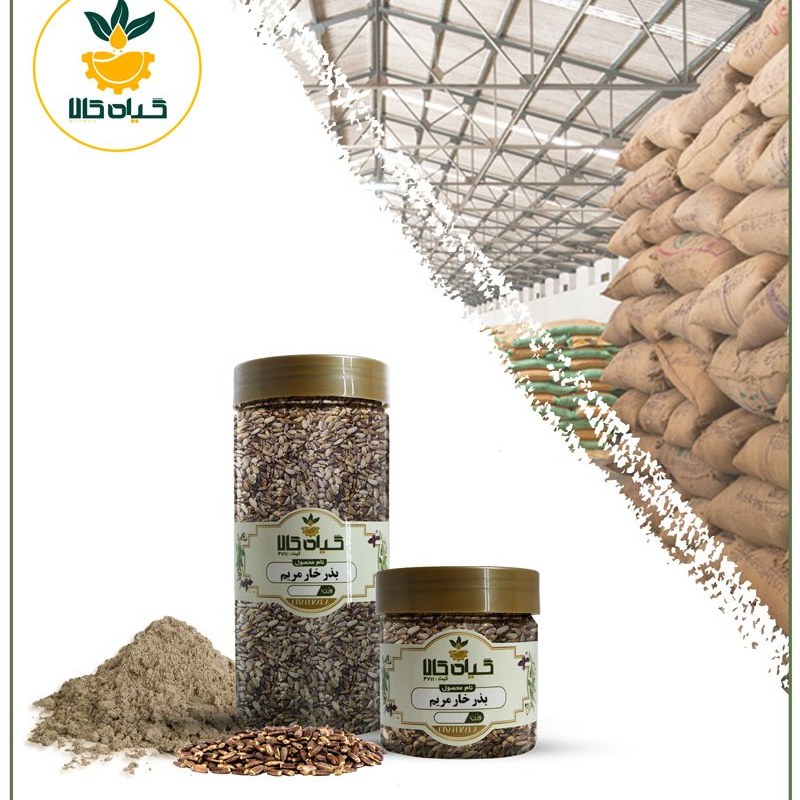 بذر خارمریم، بار امسالی و تازه(65گرمی )