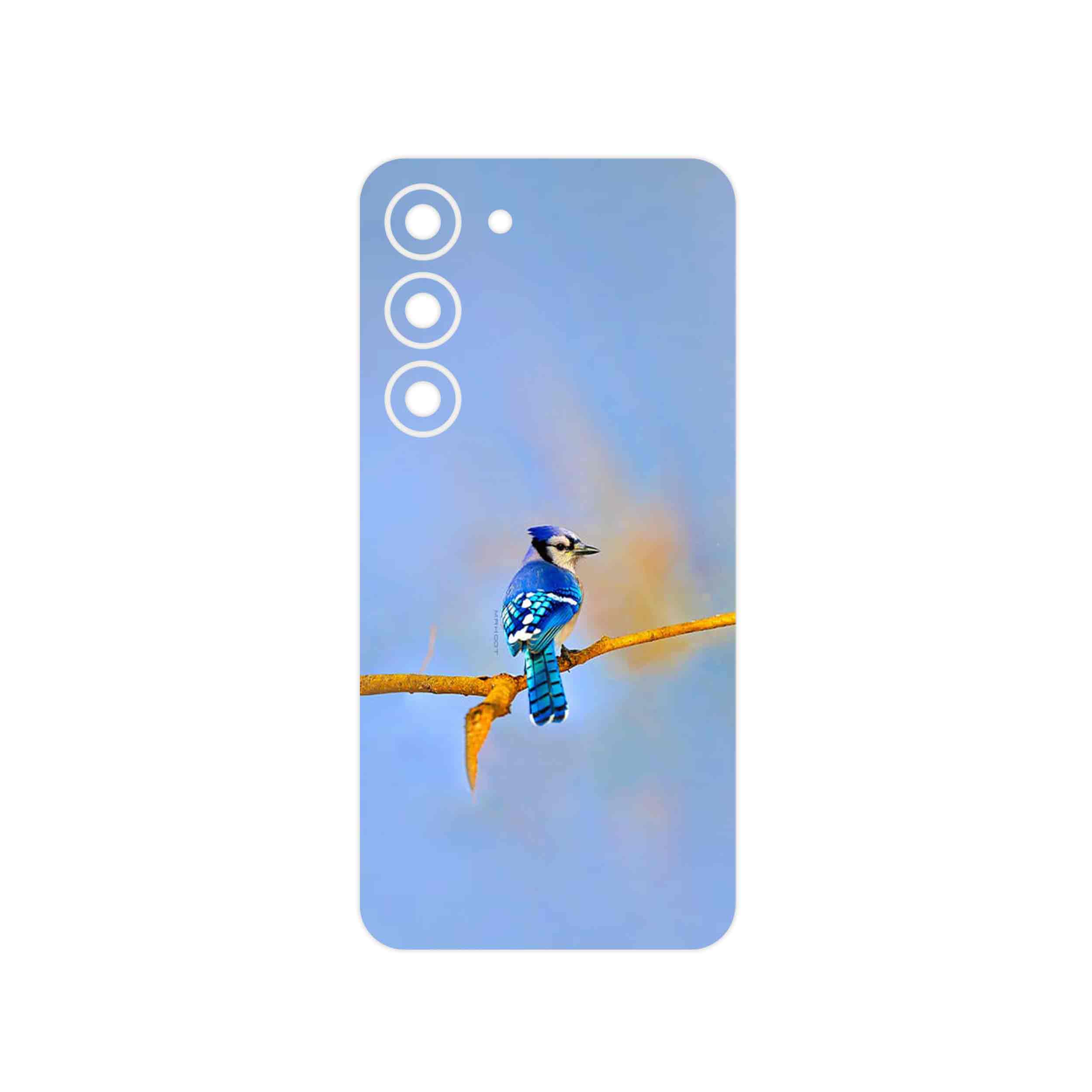 برچسب پوششی ماهوت مدل Cyanocitta cristata مناسب برای گوشی موبایل سامسونگ Galaxy S23