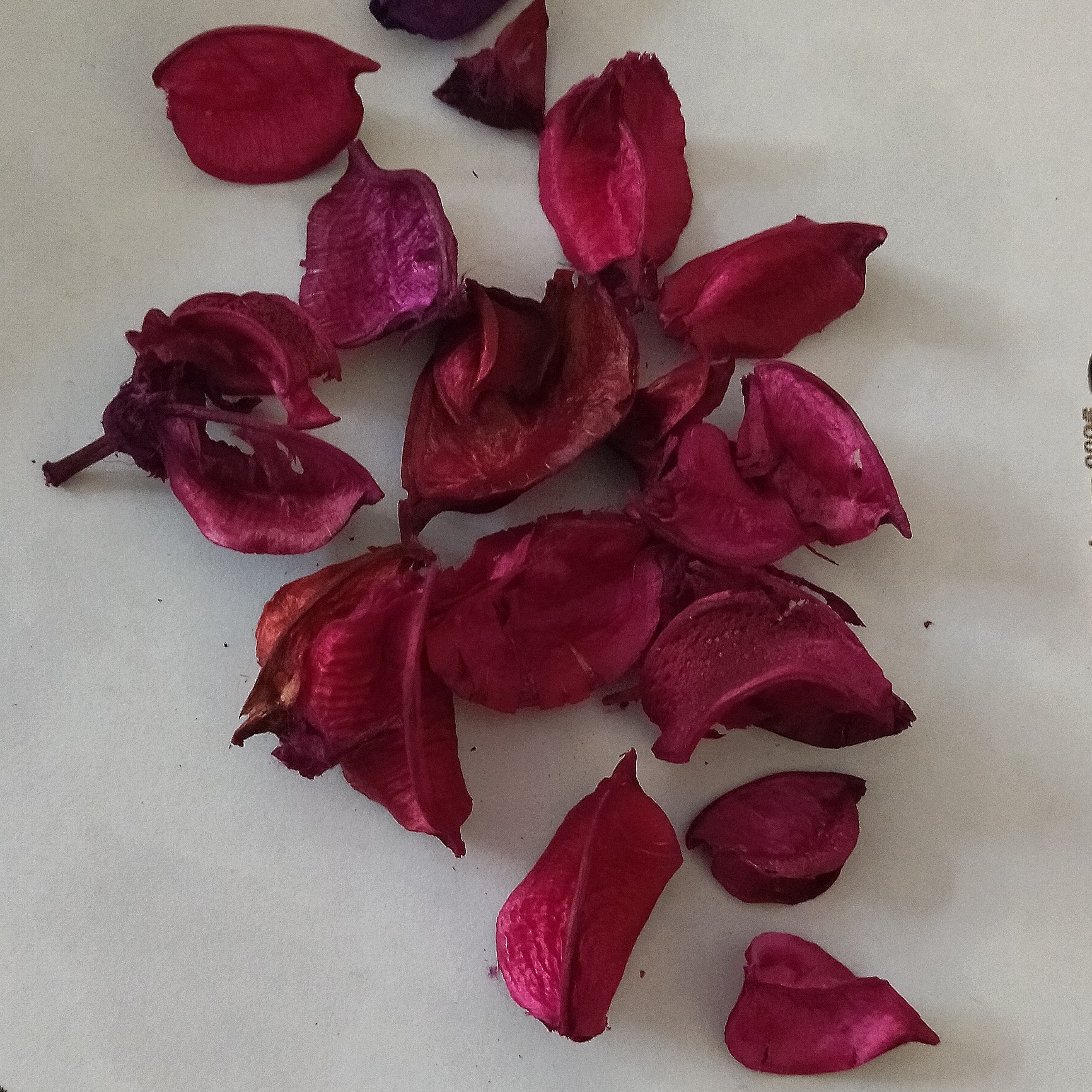 گل خشک رنگارنگ