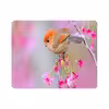 ماوس پد طرح پرنده و گل مدل T8086