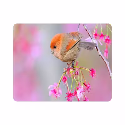 ماوس پد طرح پرنده و گل مدل T8086