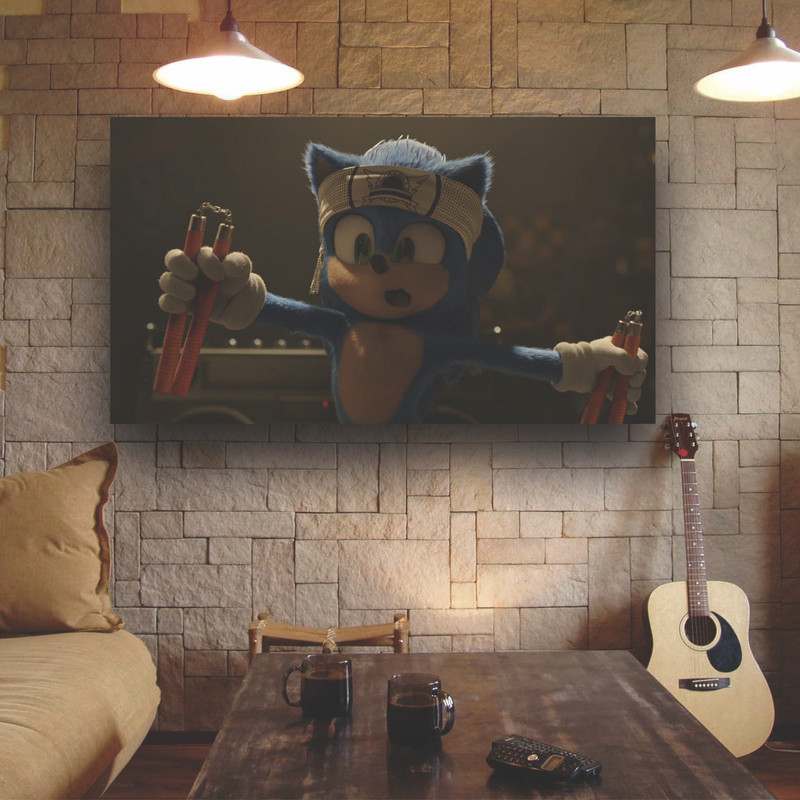 تابلو شاسی طرح سونیک کد 0TS-5561 | دنیای قاب