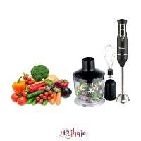 گوشت کوب 3 کاره دلمونتی DL115