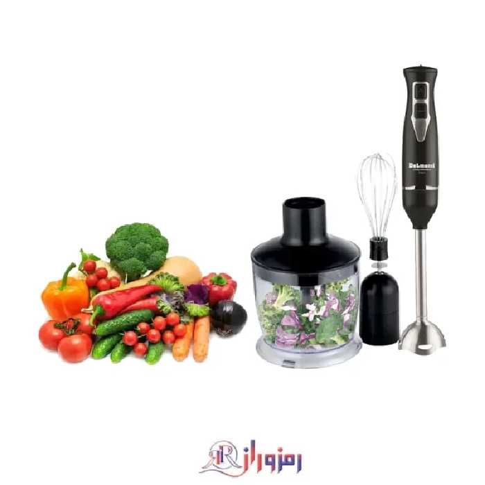 گوشت کوب 3 کاره دلمونتی DL115