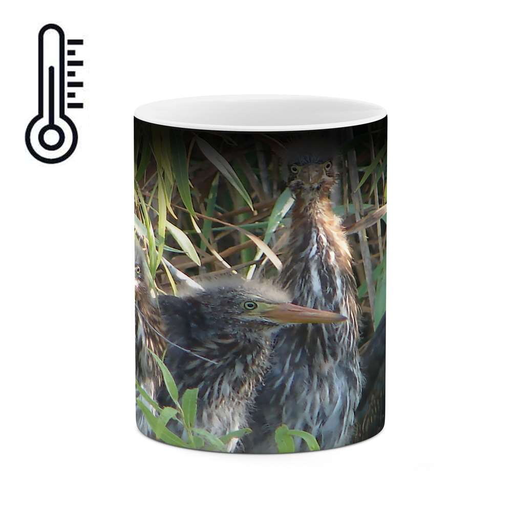 ماگ حرارتی طرح پرنده مدل mgh02631