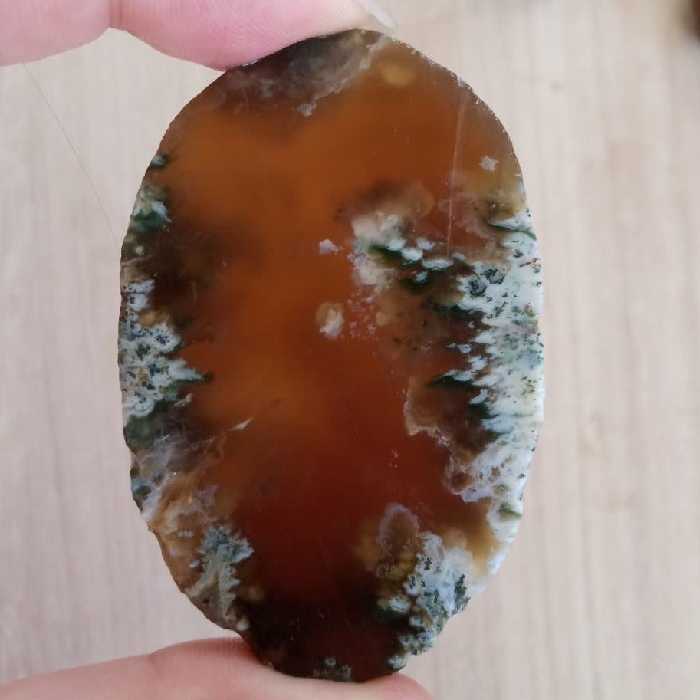 سنگ (مدالی درشت شجر بهاره با زمینه عقیق عسلی )