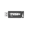 فلش مموری پتریوت مدل Push Plus ظرفیت 32 گیگابایت