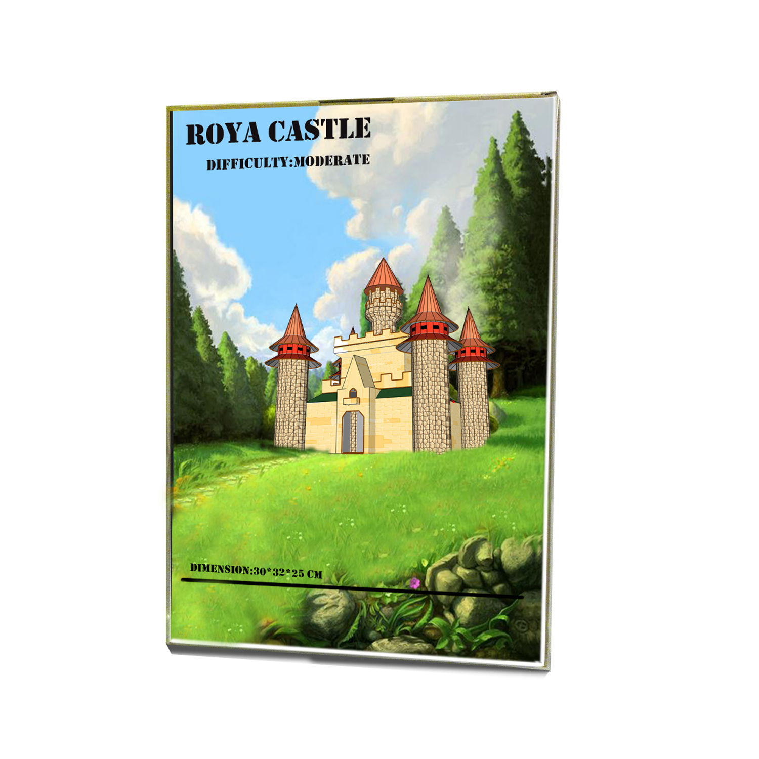 ساختنی طرح قلعه رویا