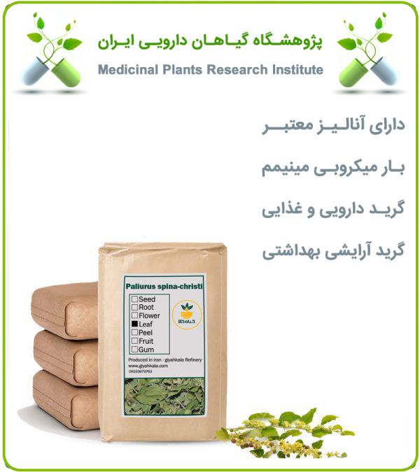 برگ سیاه تلو خشک فله