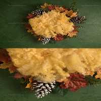 بکگراند عکاسی نوزادی پاییزی | گرافیک با طعم تربچه