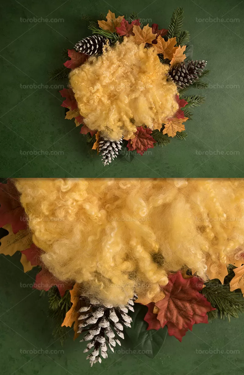 بکگراند عکاسی نوزادی پاییزی | گرافیک با طعم تربچه