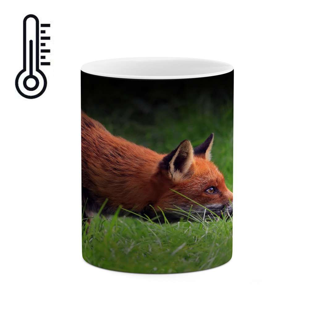 ماگ حرارتی کاکتی طرح روباه مدل mgh16445