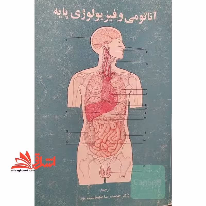 آناتومی و فیزیولوژی پایه جلد اول - فروشگاه کتاب اشراق