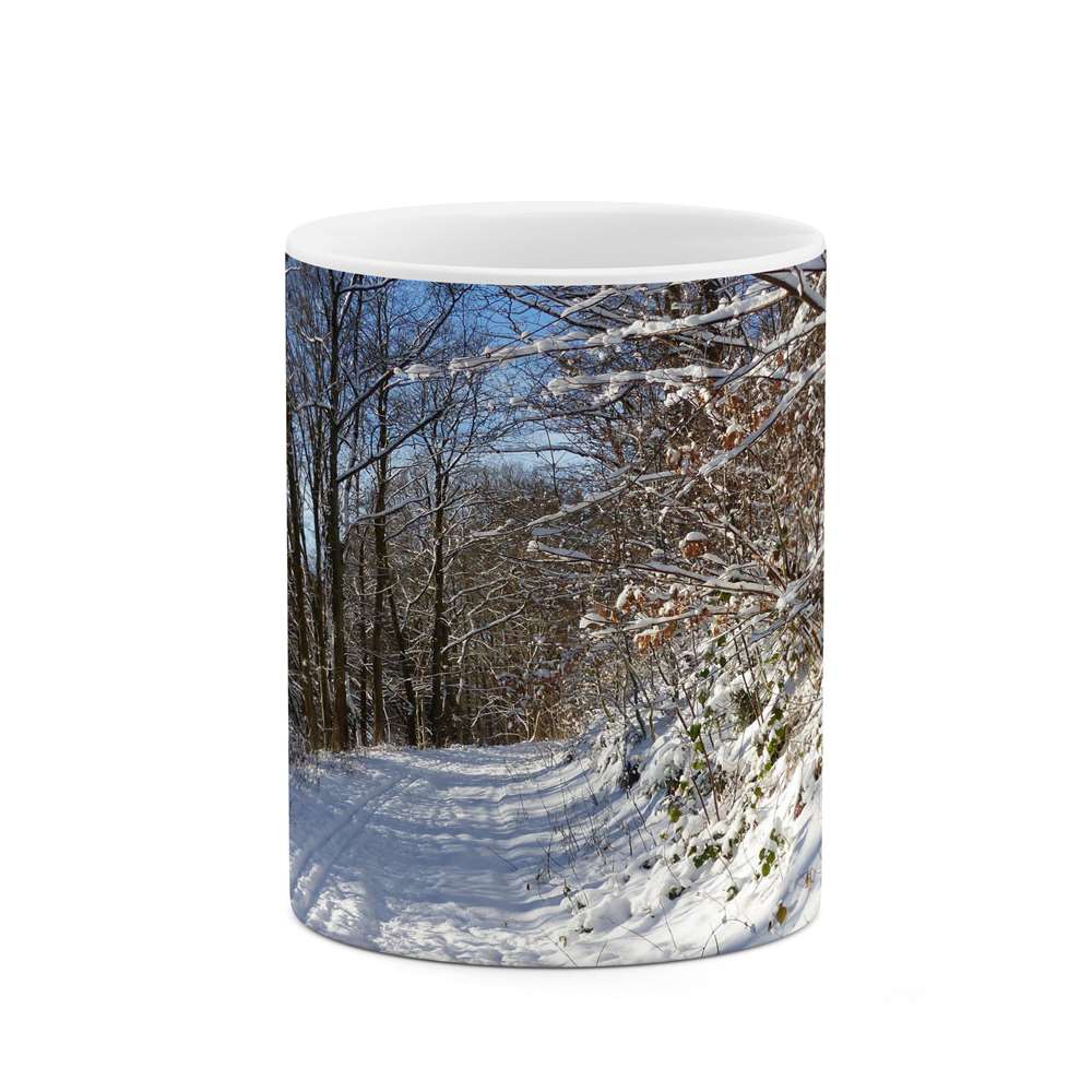 ماگ کاکتی طرح منظره مدل mgs13195