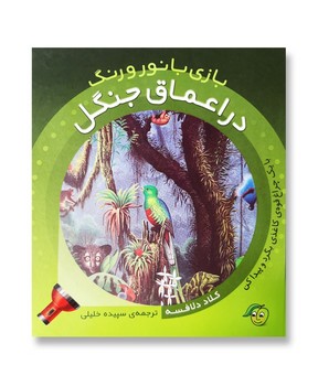 در اعماق جنگل/بازی با نور و رنگ | مرکز فرهنگی آبی