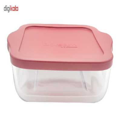 ظرف نگهدارنده پاشاباغجه مدل بورجام 59034