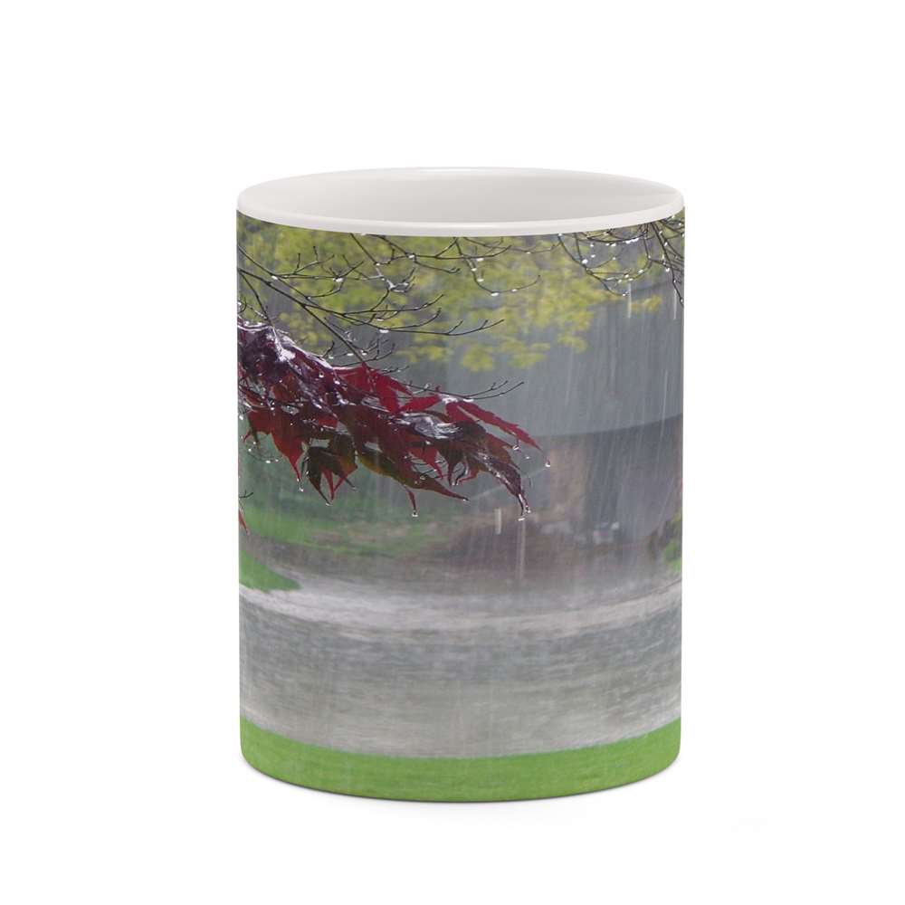 ماگ کاکتی طرح منظره مدل mgh18321