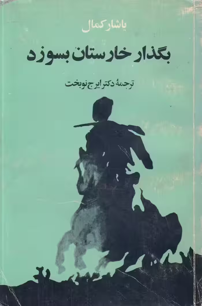 خرید کتاب بگذار خارستان بسوزد — کتابسرای طه