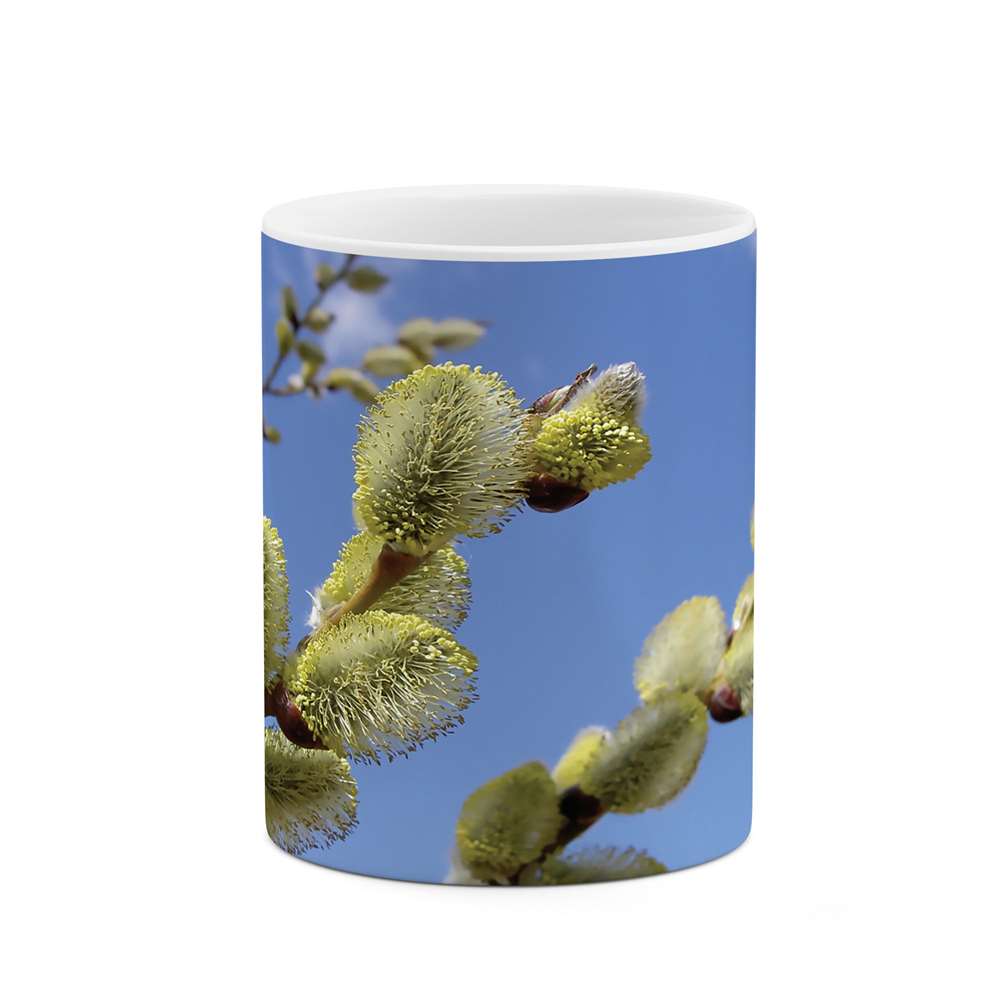 ماگ طرح گل مدل mug04560