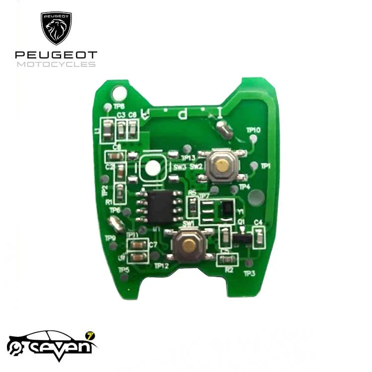 برد ریموت پژو 206 سیستم اکوماکس کروز