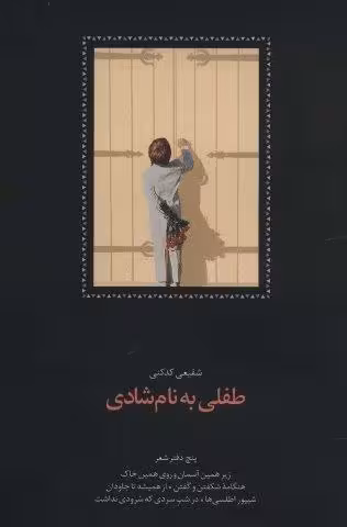 طفلی به نام شادی (پنج دفتر شعر:زیر همین آسمان و روی همین خاک،هنگامه شکفتن و گفتن…)