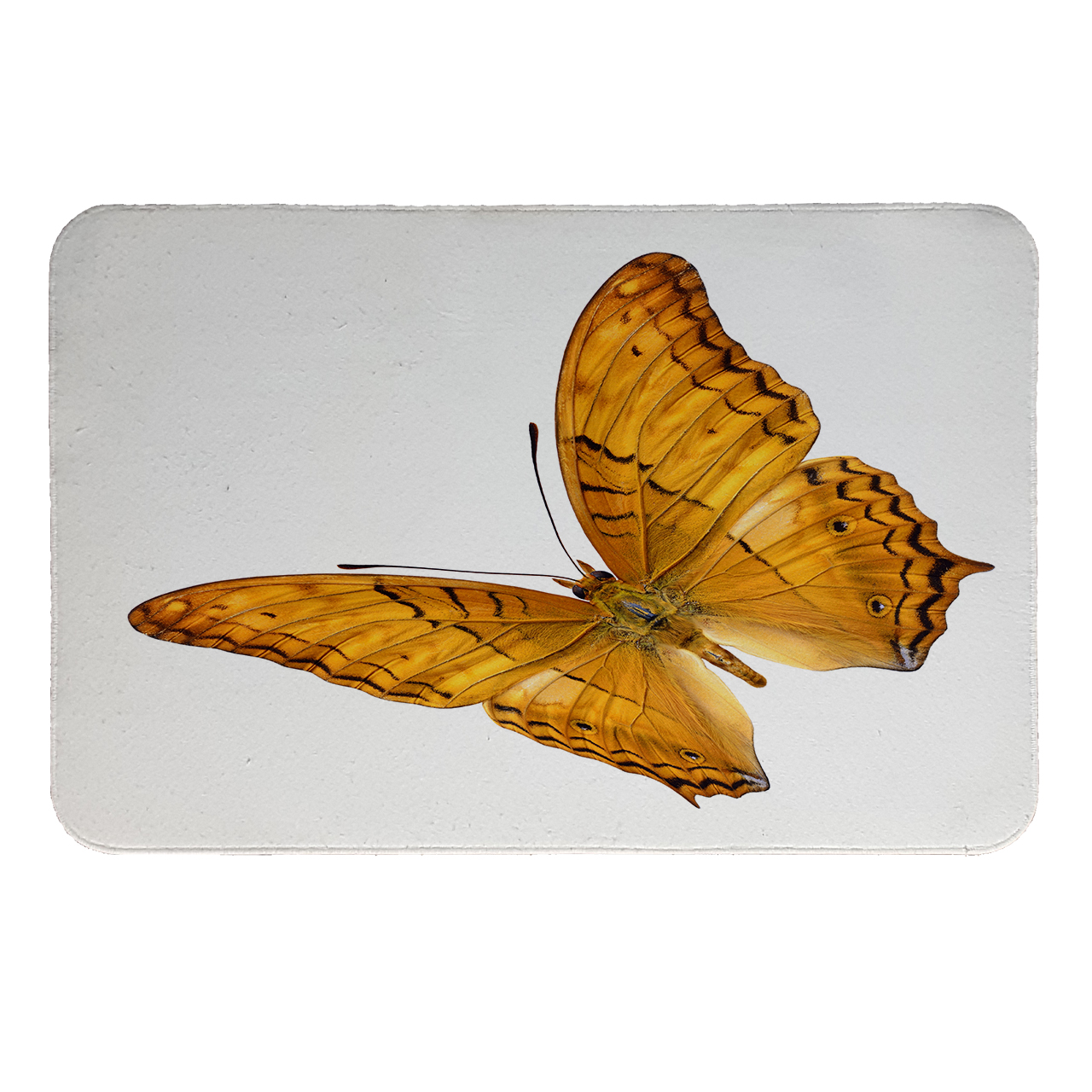 زیرقابلمه ای طرح پروانه کد 6188