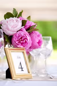 خرید و دانلود عکس Flower-Part-2 کد 17772 | پیک فاکس | Pic Fox