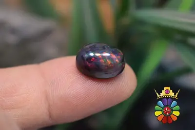 اپال سیاه اتیوپی