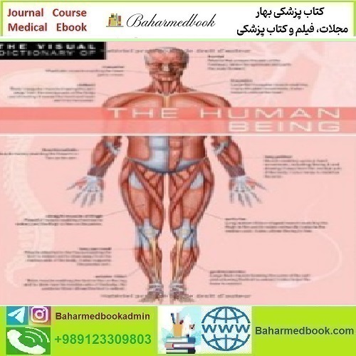 The Visual Dictionary of The Human Being 2010 TRUE PDF price