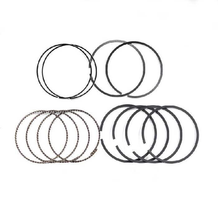 رینگ موتور STD جیلی GC6 الیت