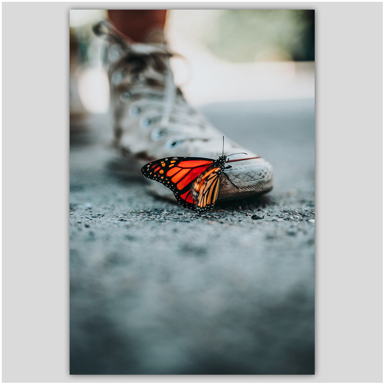 تابلو شاسی مدل برگ کد 508