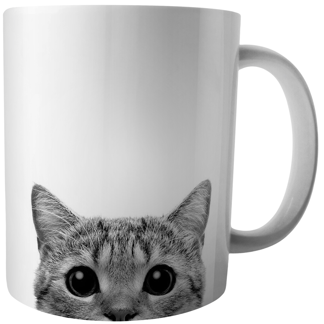 ماگ طرح گربه کد B1013