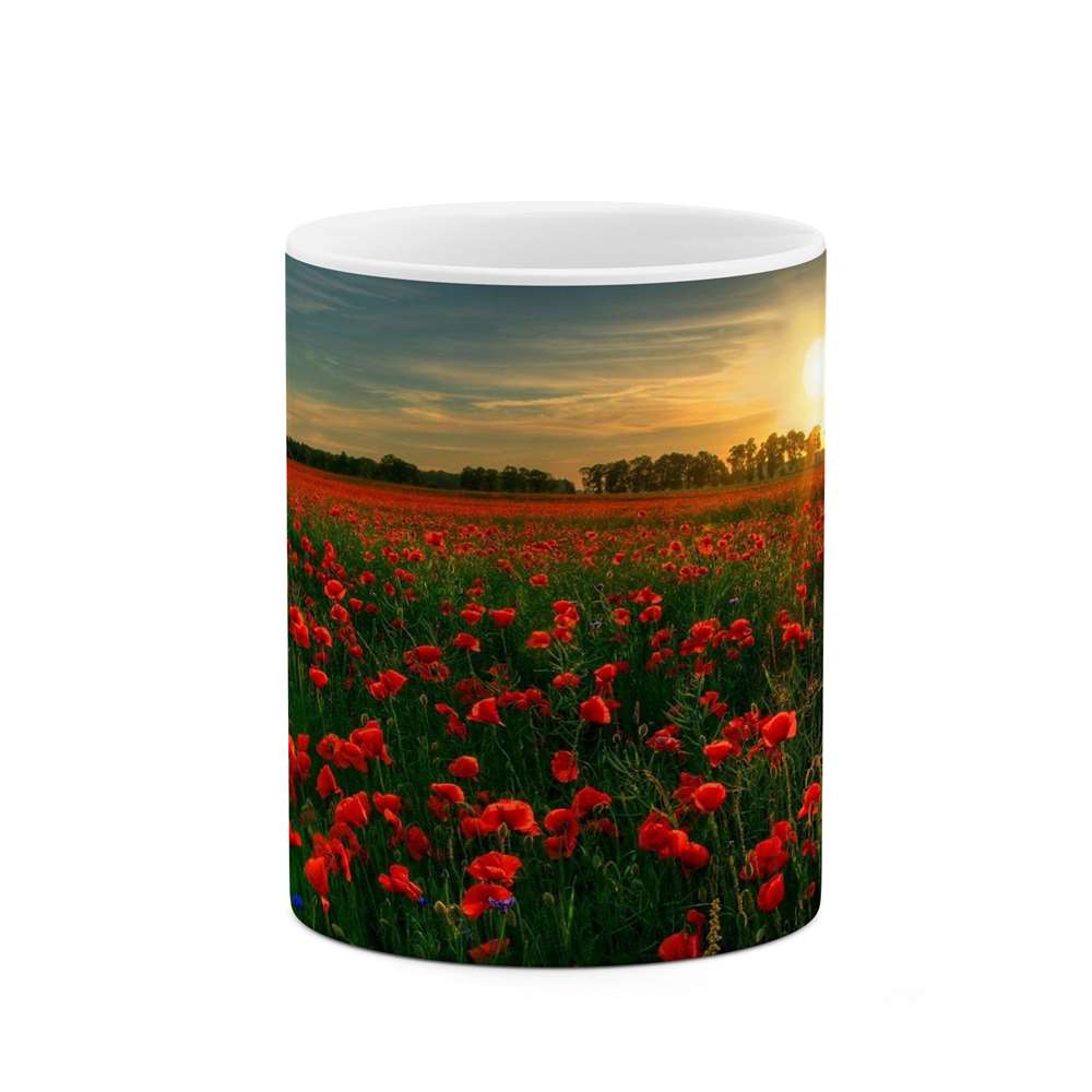 ماگ طرح گل مدل mgs11980