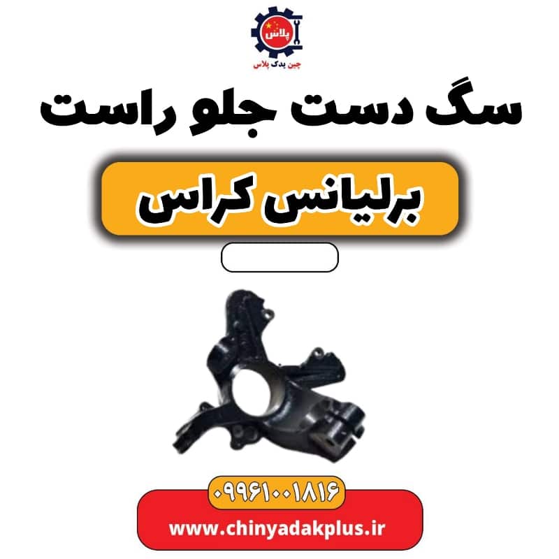 سگ دست جلو راست برلیانس کراس