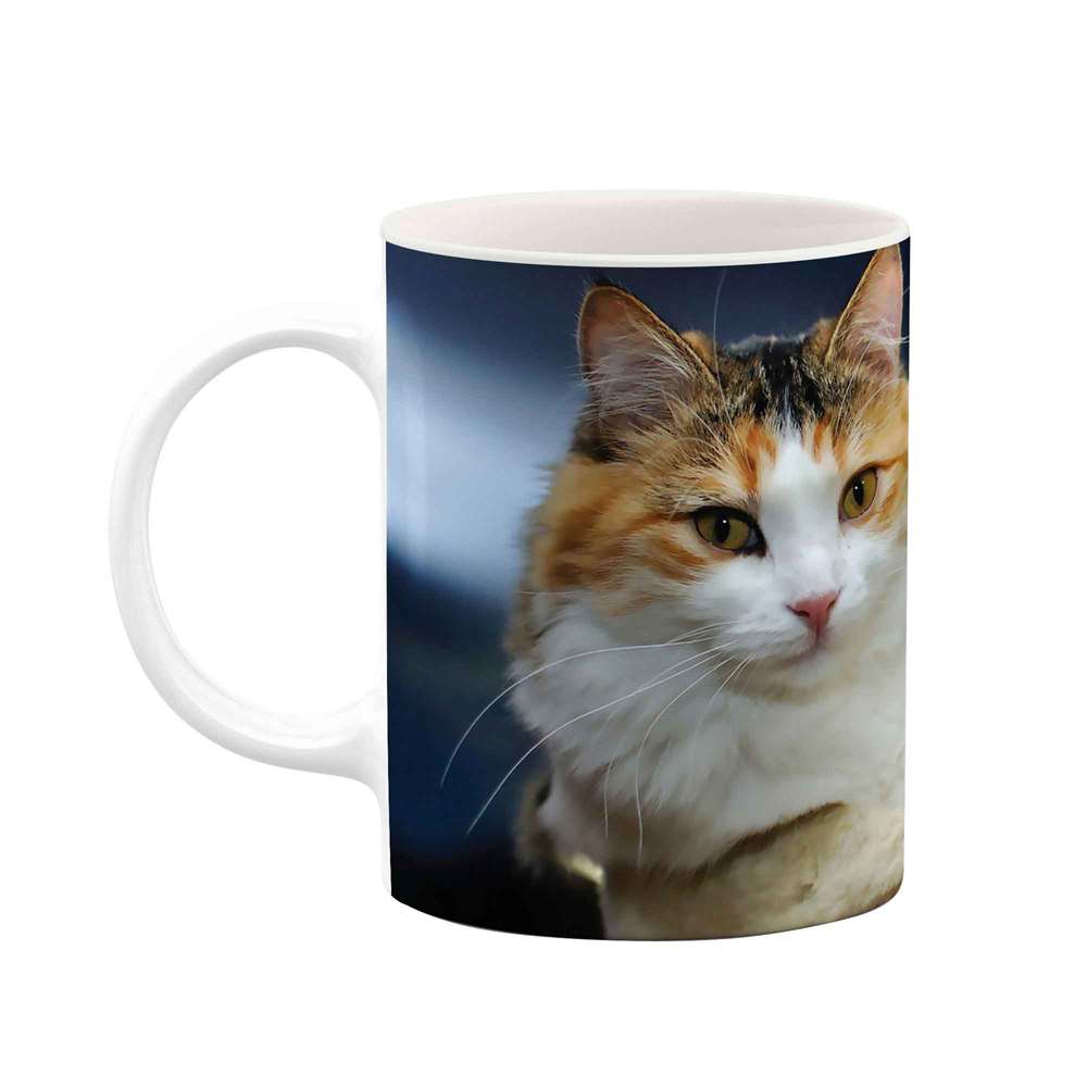 ماگ طرح گربه مدل mug04461
