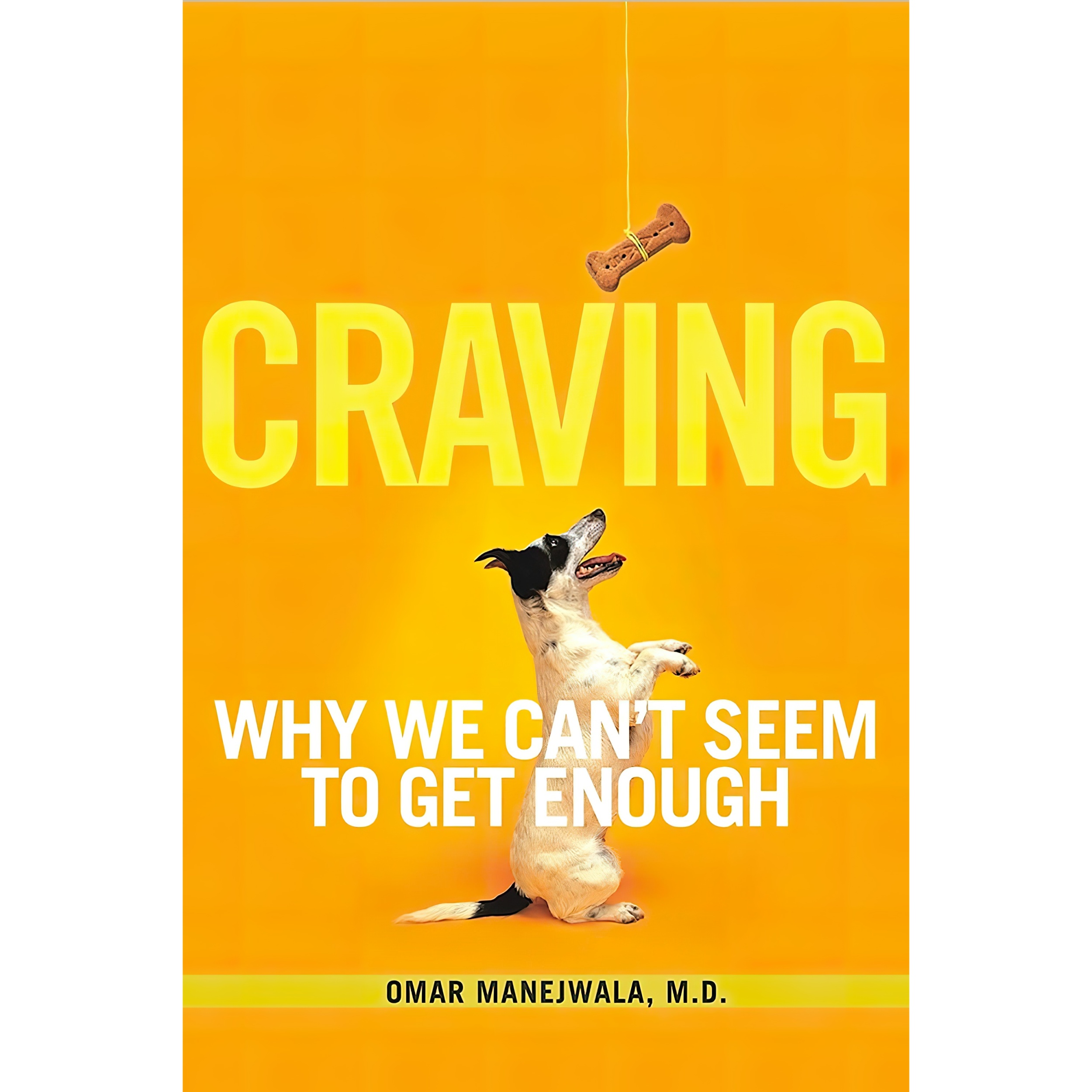 کتاب Craving اثر Omar Manejwala انتشارات Hazelden Publishing