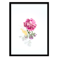 قیمت و خرید تابلو دکوراتیو مدل عکاسی مینیمال گل کد 077