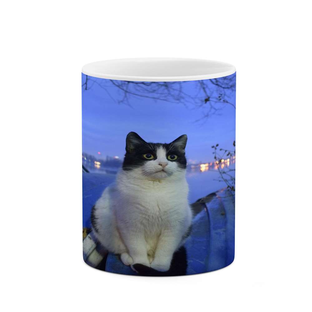 ماگ کاکتی طرح گربه مدل mgs14444