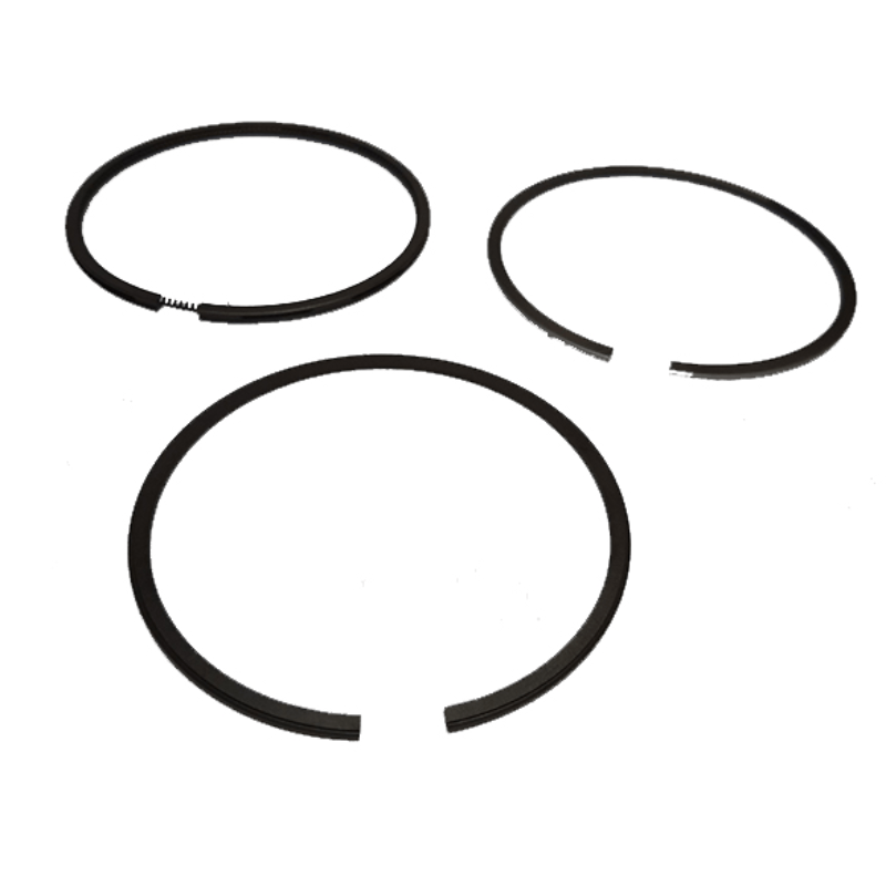 رینگ موتور دینا پارت مدل یونیکس مناسب پژو 405 کد 1202399