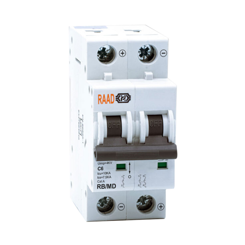 کلید مینیاتوری 2 پل 6 آمپر RB-MD-2P-C06-10kA رعد